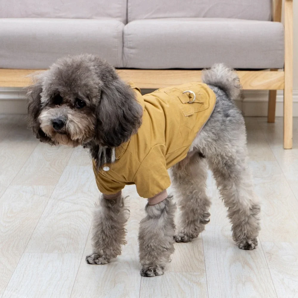Pet Winter Thickened Hiking Co - đánh giá và giá Winter Clothing Hiking